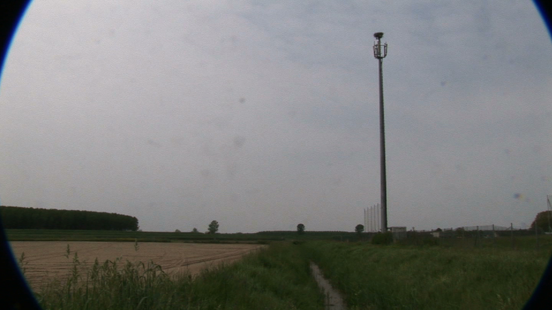 Nidos de cigüeña #1