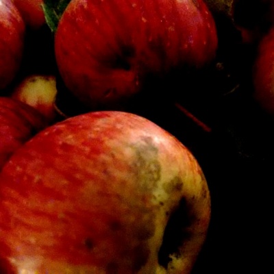 Wayward Wandering manzanas Wayward Wandering manzanas