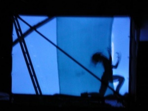 Imagen de Jose Milara Imagen de Jose Milara